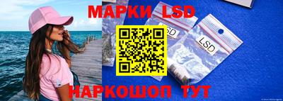 молекула духа Будённовск