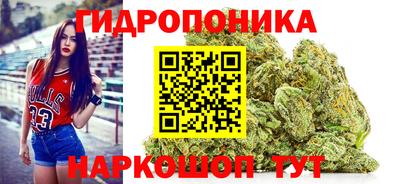 молекула духа Будённовск